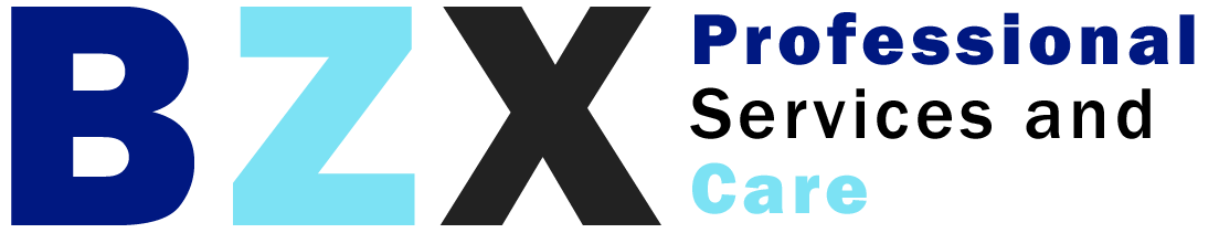 the BZX logo - blue B, Z and black X with text to the right of the X